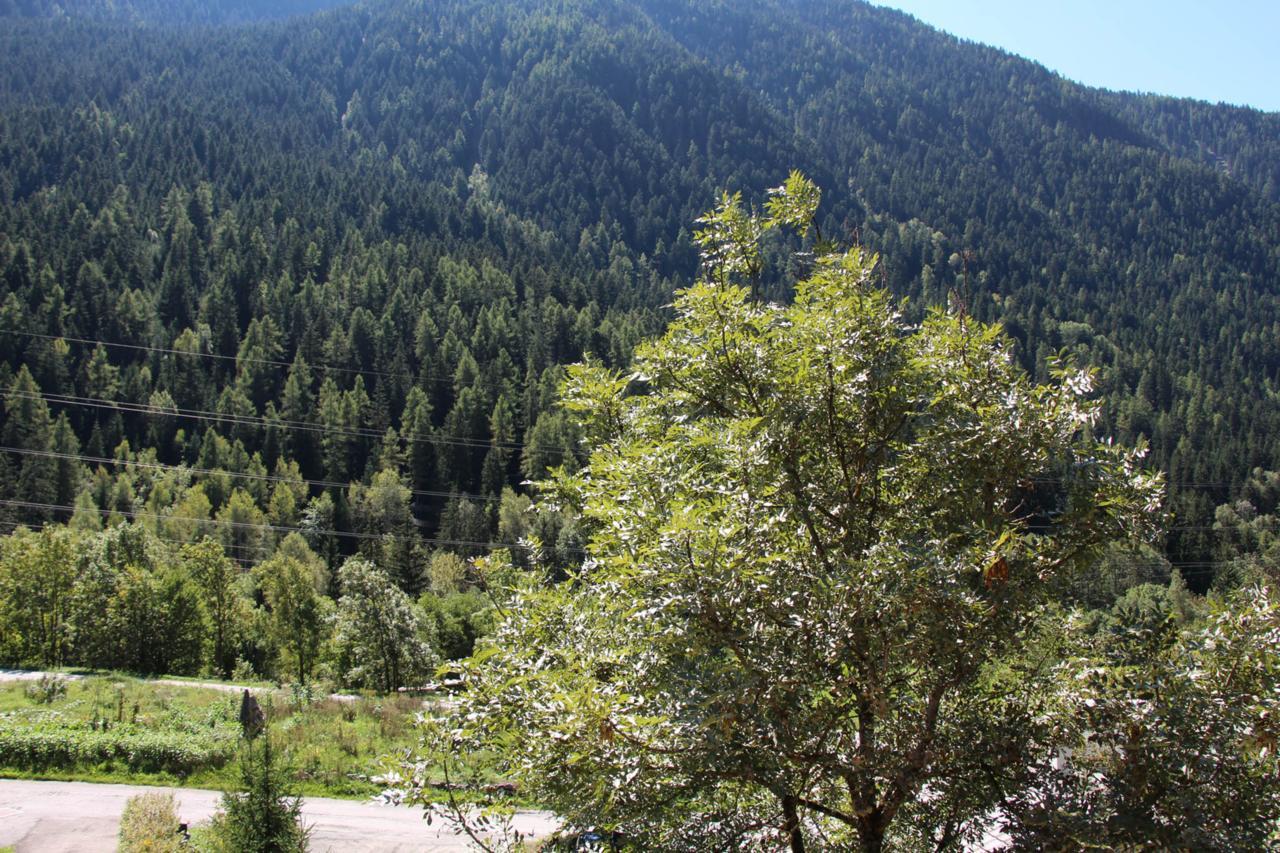 Montvalezan Chalet Tioli מראה חיצוני תמונה